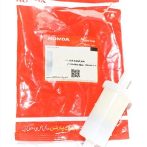 Air Filter (CG125 Euro)