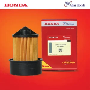 Air Filter (CD70 Euro)