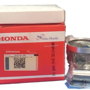 Piston Kit STD 100 Pridor