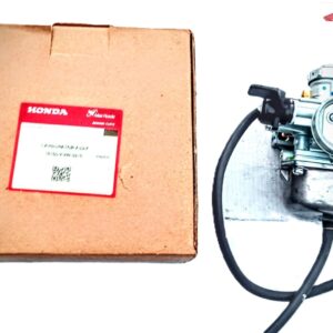 Carburetor Assy (100 Pridor)