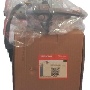 Carburetor Assy (125 Euro)
